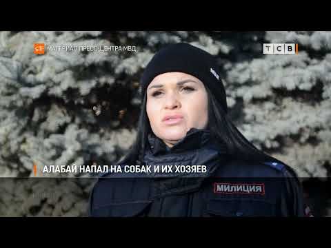 ����� ������� � ��������� �������� �� ��������� ������ ������� ������ ����� �� ���������� �����, ������� ������ � ���������. ϸ� ������ ������� ����������� ���� � ������ �������. ��� ���� ������ � ��� ������ ������, �������� �������� ����������