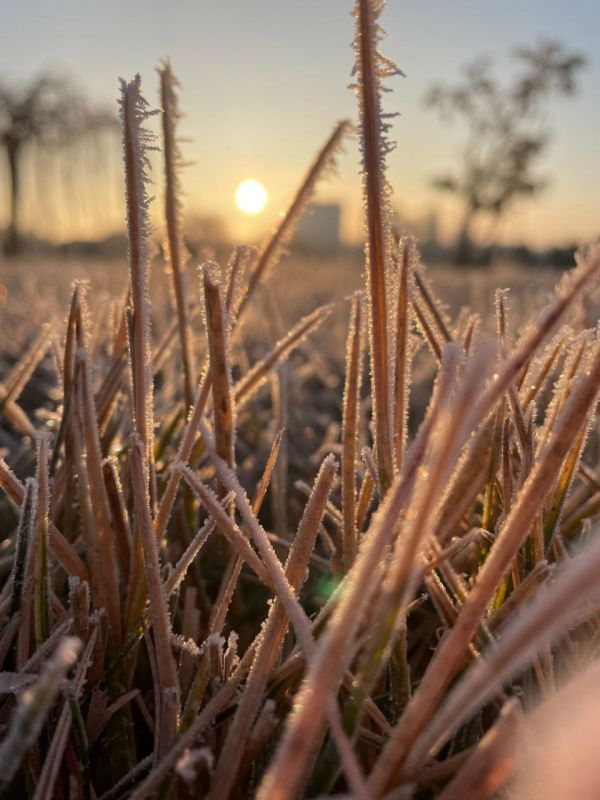 �� ����� �������