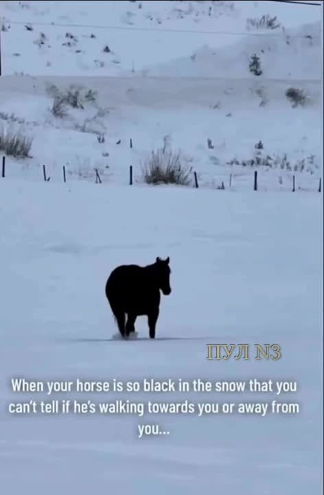 ����� � ����� ���������� ������� ���� � ��������