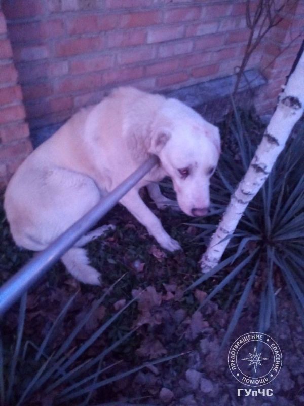 7 ������� 2023 ���� ���� ������ ��� ������ �� ����