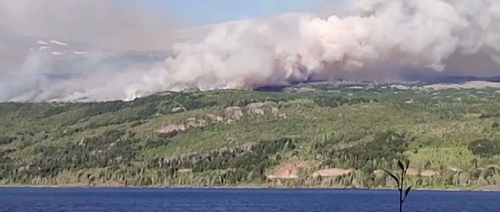 � ��������� ����� ���������� ���� ���-�������, ���������� � ������ ���������� �������� ������