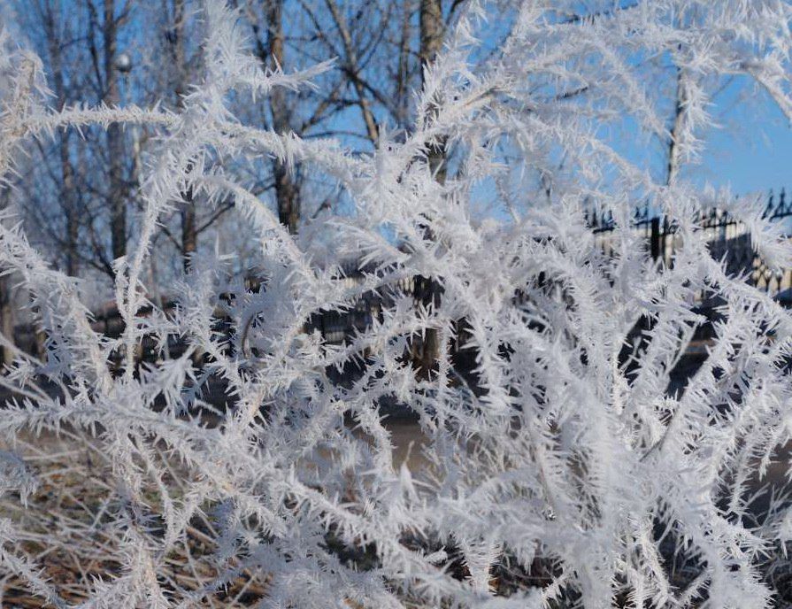 ��������������� ��������