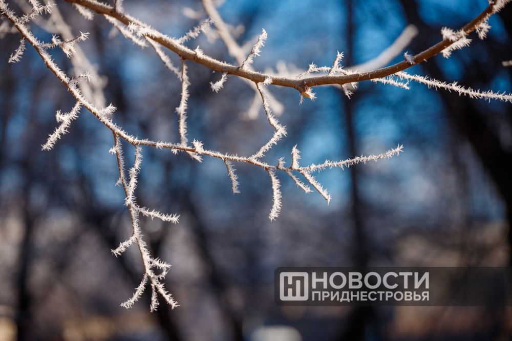 ��������� ���� ������ �������� ����� ��������