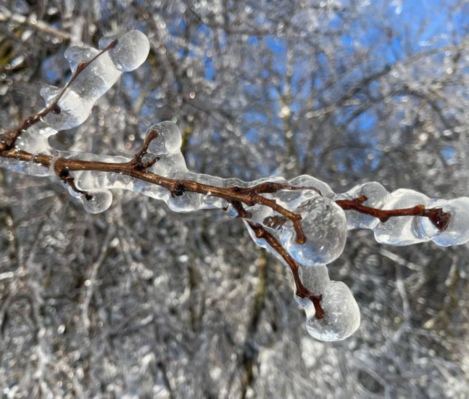 ���� � ��������� ��� ������ ���� � �����, ������� ������ �������, �� ������ ������������� ���� ����� �������