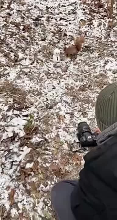 ���� ����� ������������� ���������