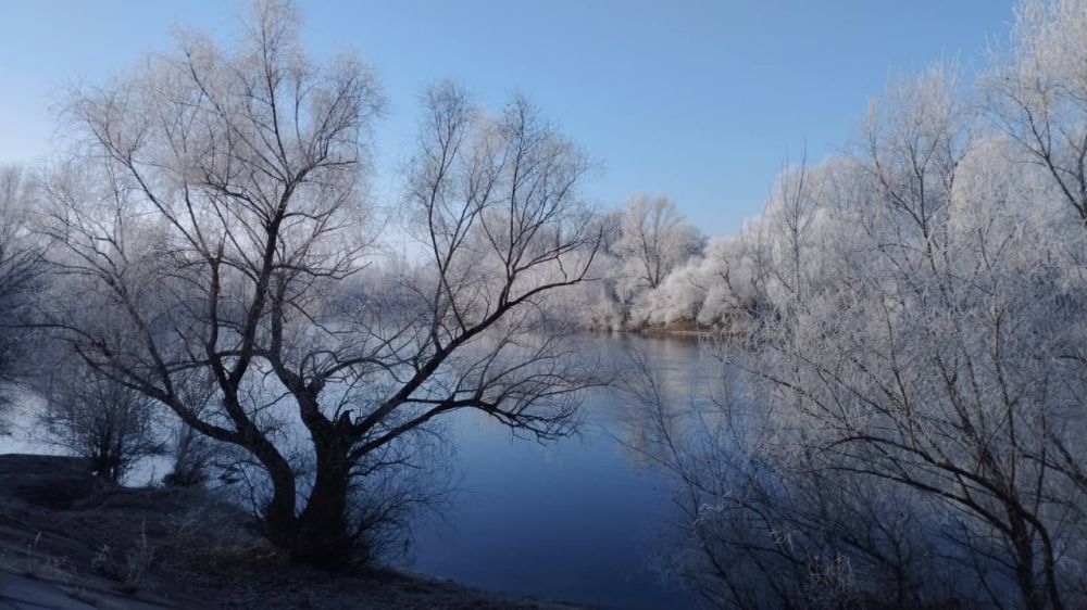 � ������ �� �������� ����������� �������������