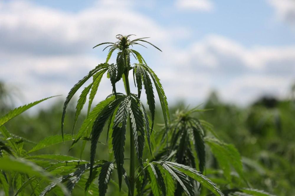 � ������� ����� ����������� ����� ���������� ����������� ������� ��� �������� � ����������, �� ����� �����������, � ��������������� �������