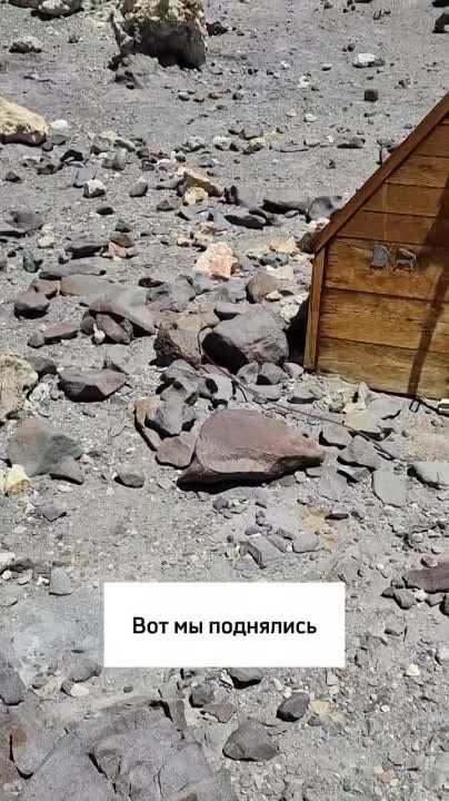 ������������ ������ ������� �������