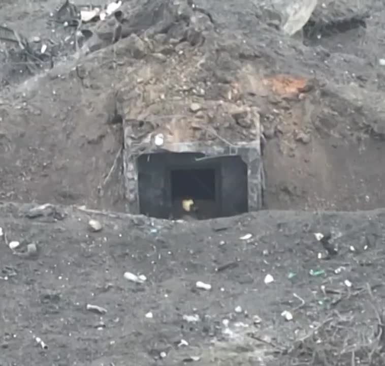 ����� ��������� ���� ��� ������ FPV ����� 6-� �������������� ������� �� ��