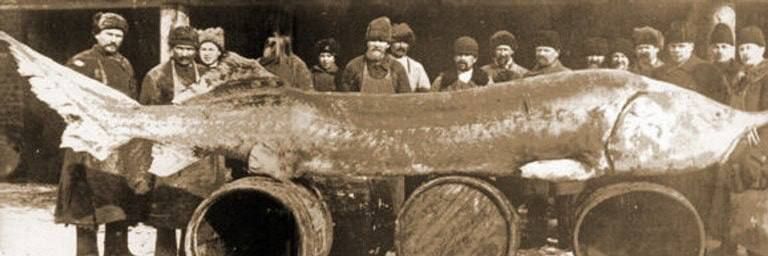 ������� ����� � ������� ��������� � ������������ �����, �����-�� ��������, ���� ����� ����������� � �������