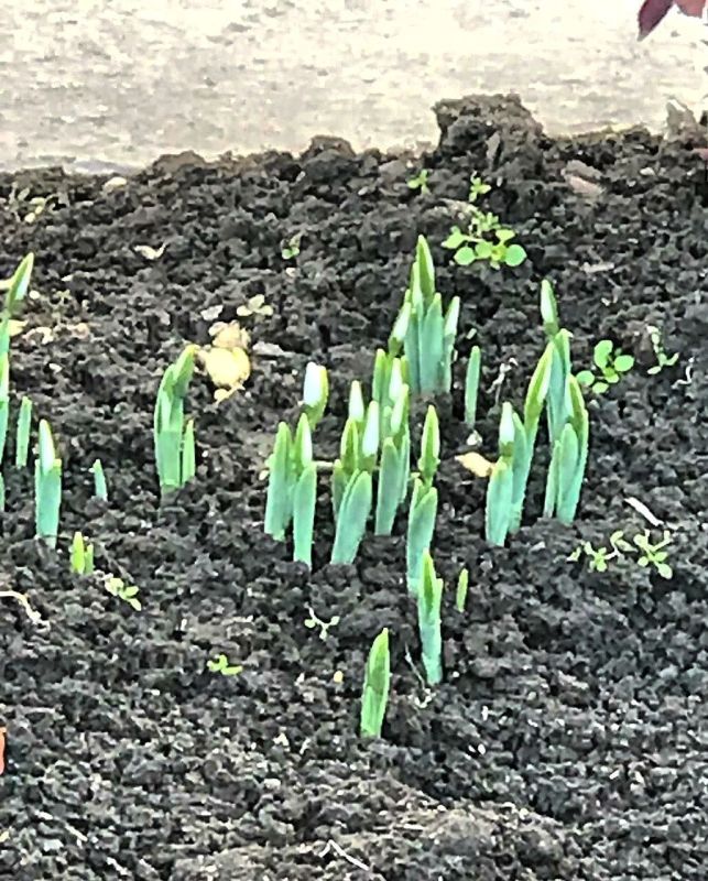 �������. ����� ��� ������!