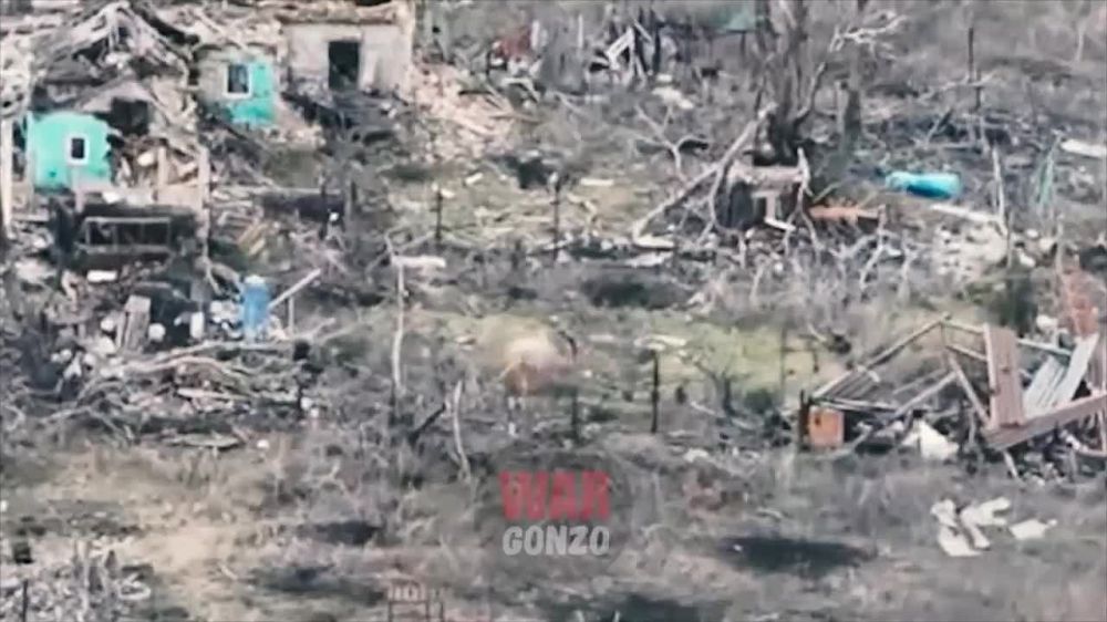 � ���� ��� ���������� ���� �� ��������� ������ ���� ��������� ������� ����, ������� ������������ ������������