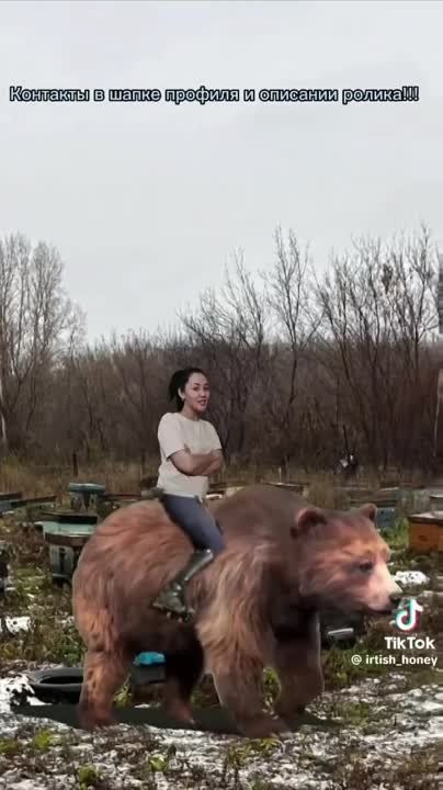 ������ ���������� ��������� �� ���������� � ����������