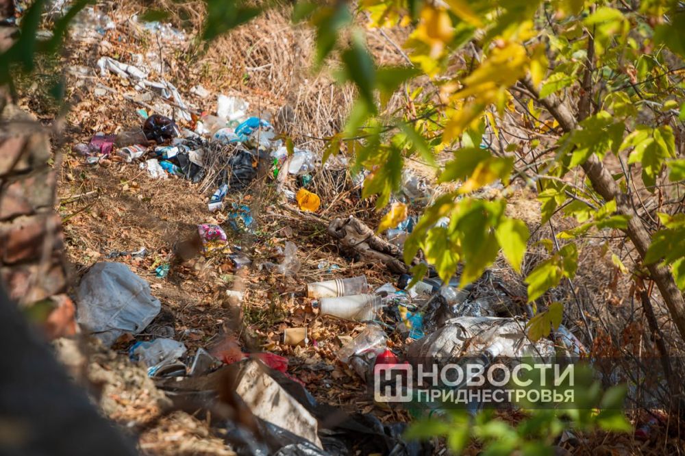 �������� ����� �� ������������������� ������ ���������� � ��������� ����������������