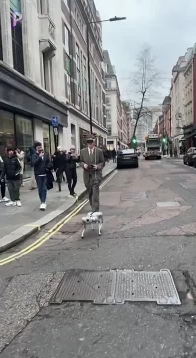 � ��� ��� ��� ��������� ���������: �������� Apple Vision ���������� ������ ����-��� �� ������ �������