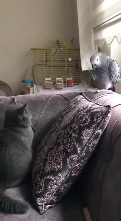 ������� ���� �������� ����������� ����� ������� ��� ��������� ����