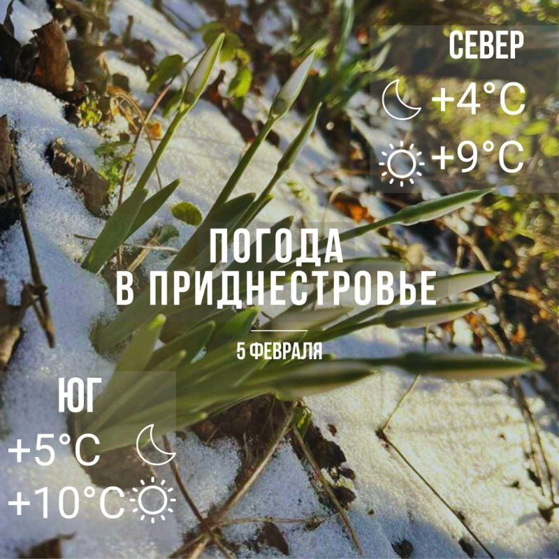 ���� � �� +10��. ������� ������ �����