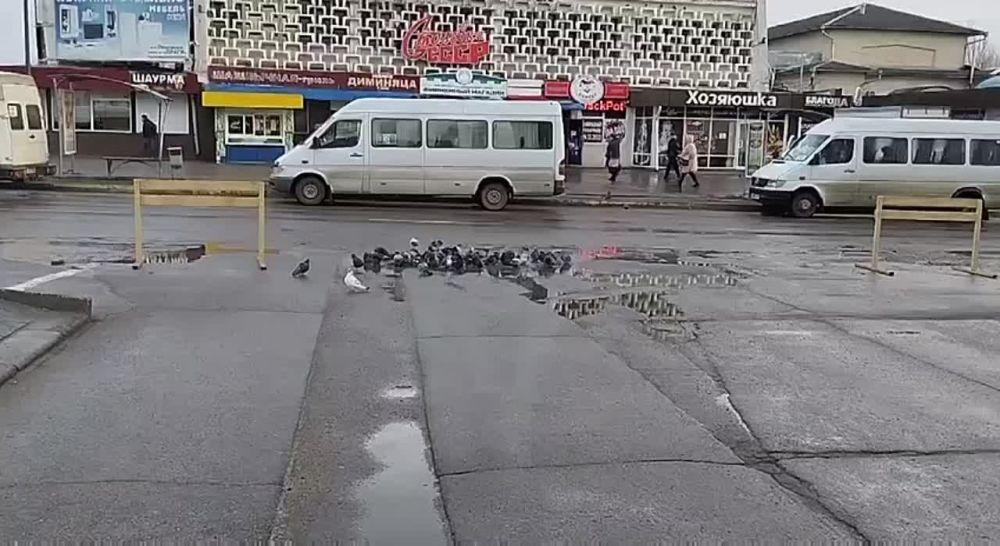 ����� �����