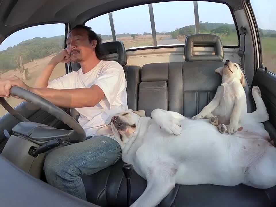 � �������� ������������ �����, ��� ����� ���� �� ����� ����, ���� ��� ����� �� ���� �������