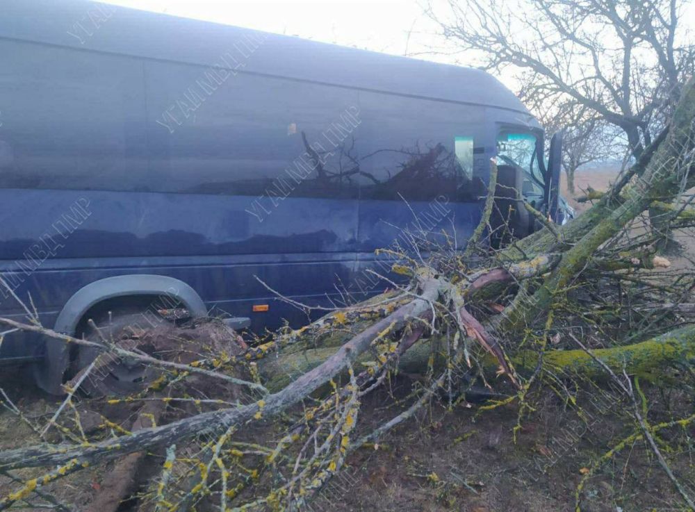 ��� � ���������������� ������