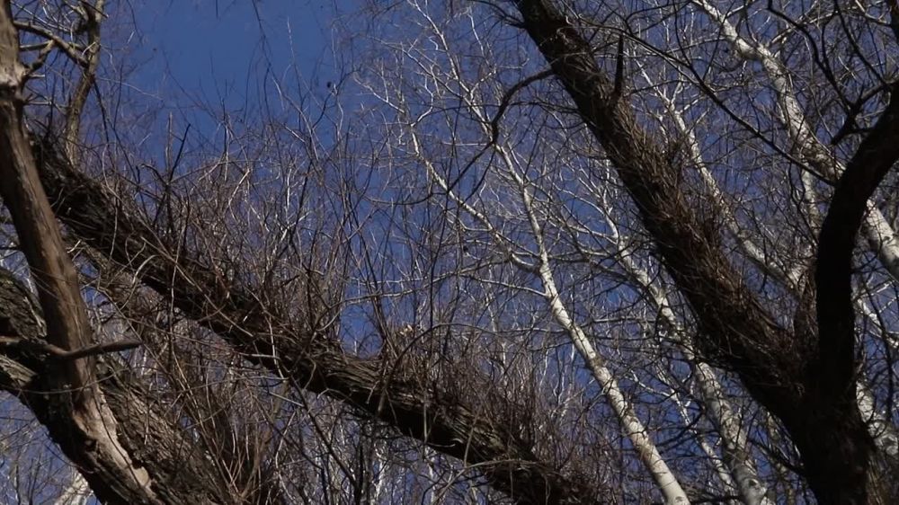 ��� � ������ � ������ �������