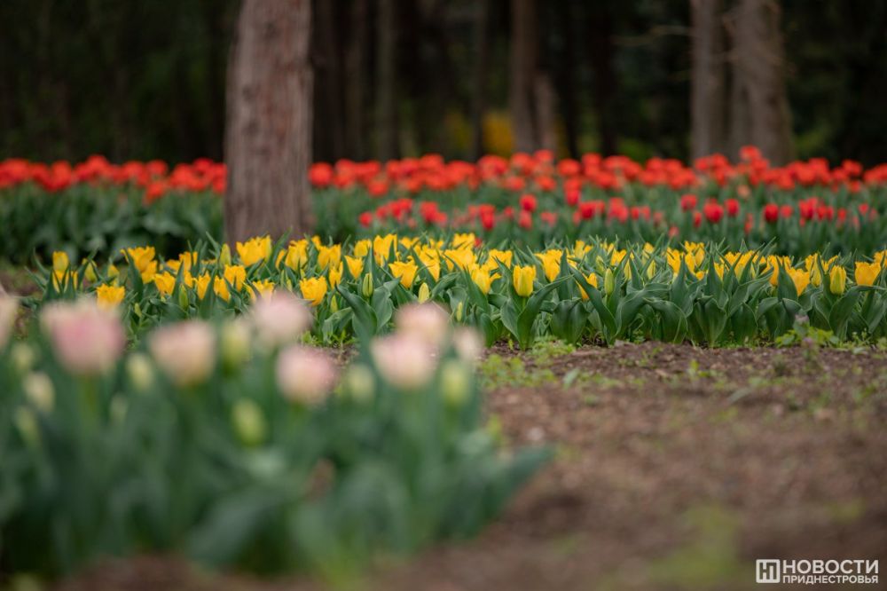 10 000 ������ �������� � ��������� �� 2023 ���