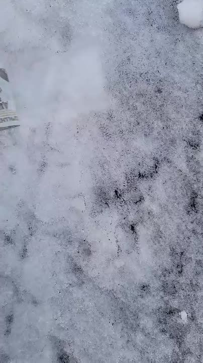 ����� ������� ������� ����������