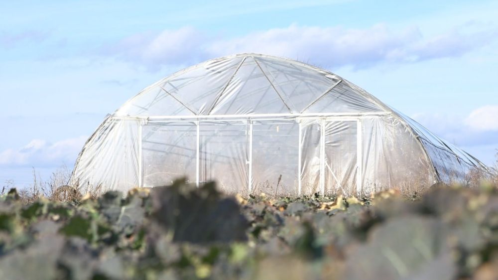 ���������� ������� ������� ���������