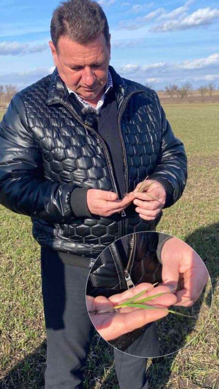 �������� ��������, �������� ���������� ���������: ������� �� ������������, �� � �� ���� ��� ����� �� ������