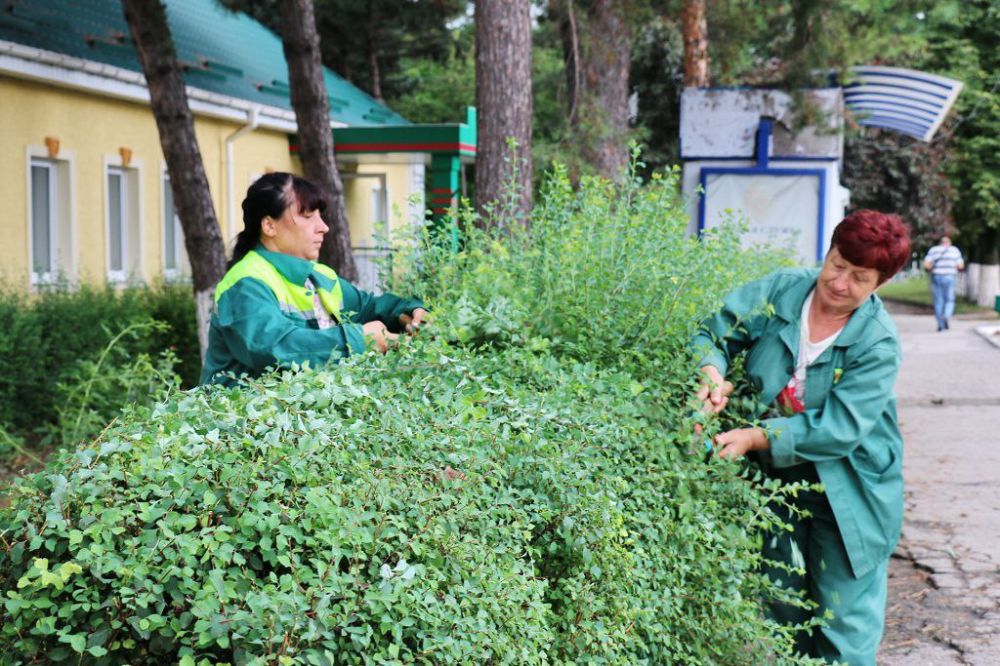 ��������� ����������� ��������� � �����