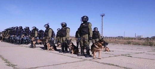 ����� 2023-��. ������ � ������ �������� � ������ ��������