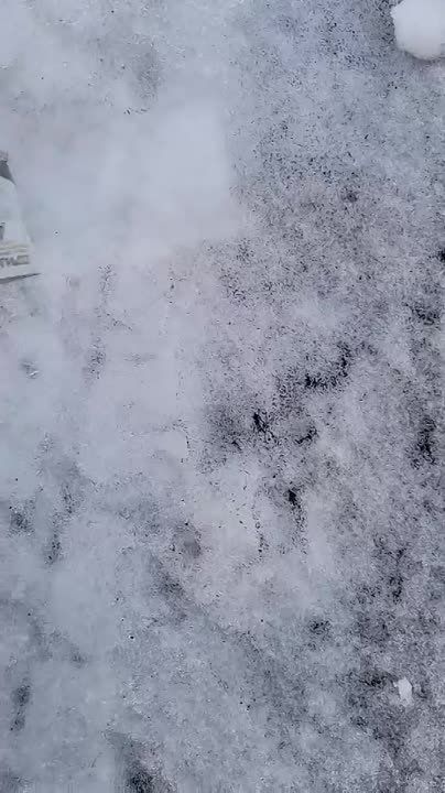 ������������� ��������� ������� ������, ��� ������ ��� �������� ����� ��� ������