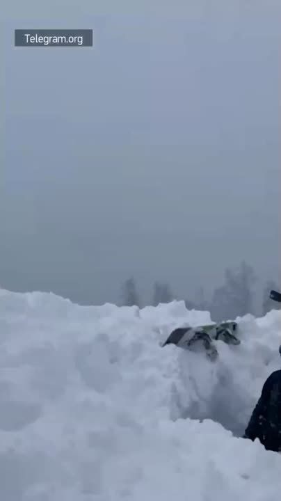 ��� ������� ���������� �����, ������� ������� ������� �� ����������� ������ � ����