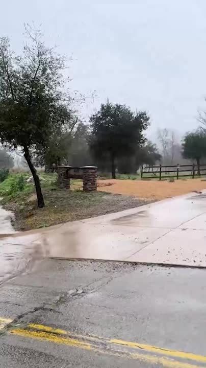 ���� ������ ���� � � ����������