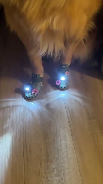 ����� ����� ������� ���: �������� Crocs ��� �������