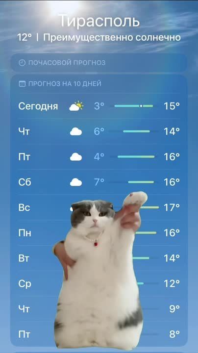 �� ����� ������ � ������������� �����, � ����������� ������ +19!