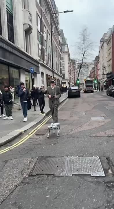 ��� ���, �������.. � ������� ������ ������� � ���� �������� ��������, ��������� ���� ���������� � ����� ����������� ���������� �� ������