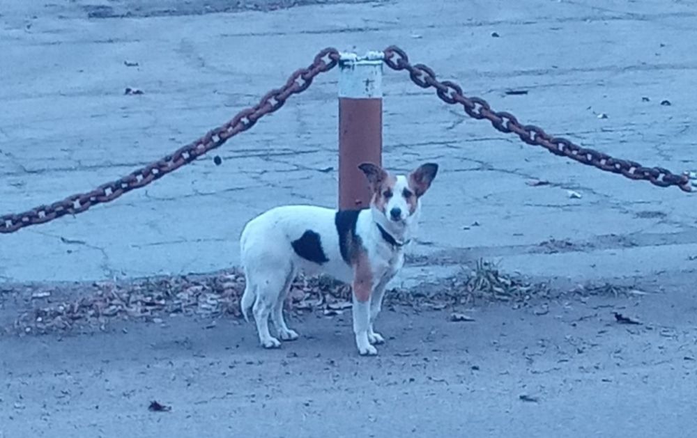 ������, ��������!. ���������� ������ ������. �������� ���� "���������". ������ �������� � ������ ������ ��������������, ������ ���. ��������, ��� � ��� ����