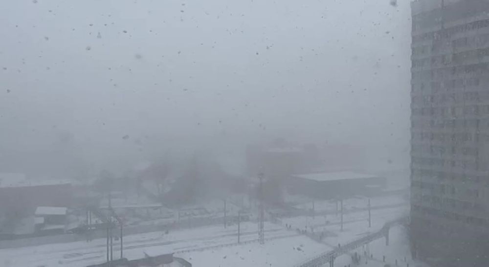 ������ ������ ������ ������