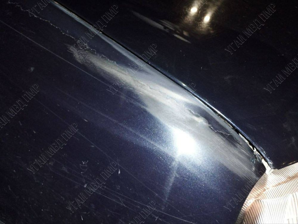 ������ ����� ���� �������-���������� �� ����� � ������