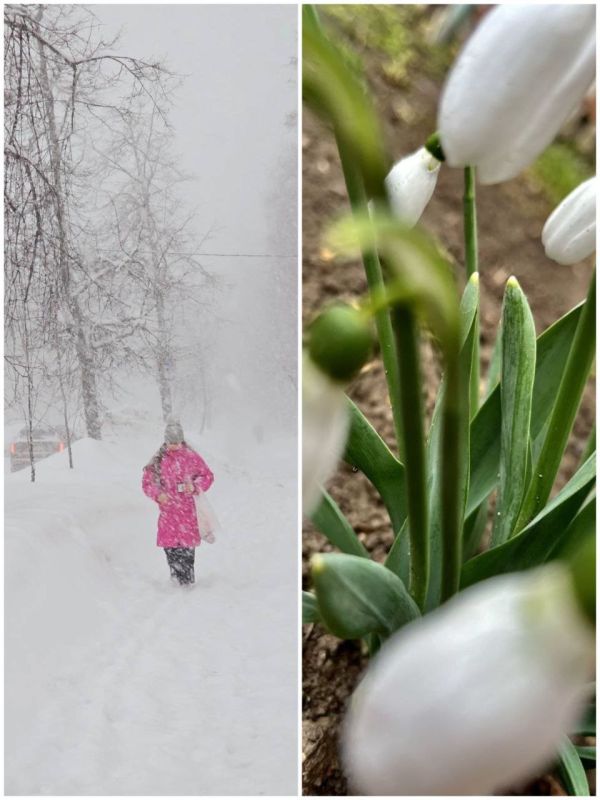 ��������� ������ � �������� � ������� ������ ��