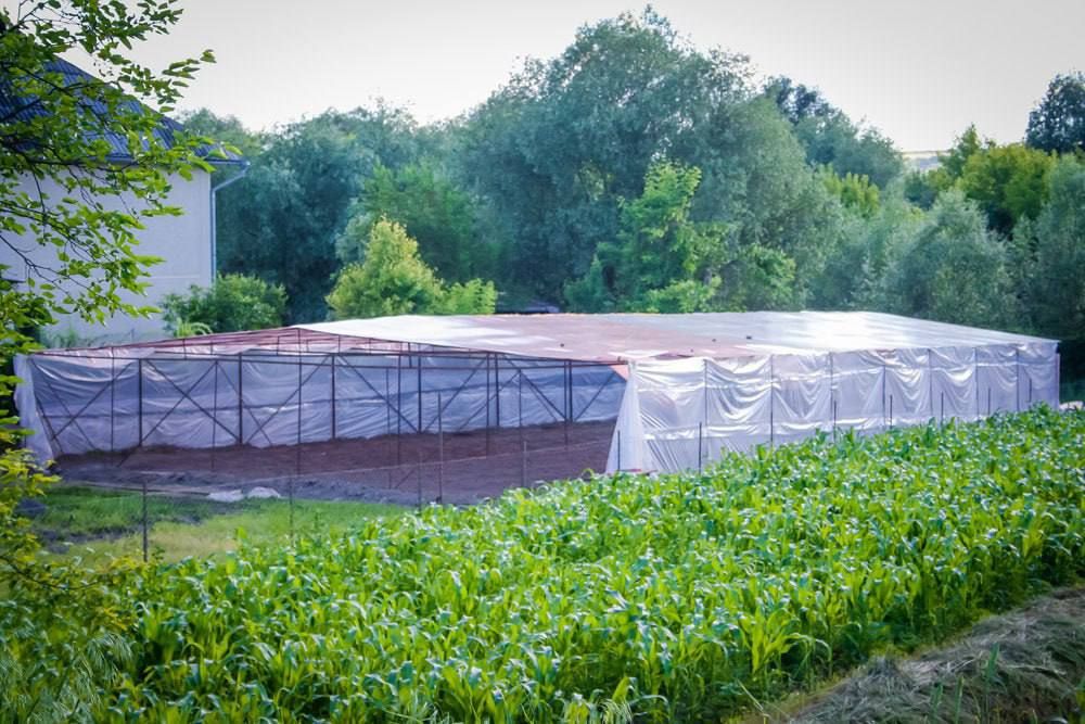 ��������, ������� ��������� �� ����������� � ������������� ����������� ������, ��� ����� ���������� �����, ������� ��� ������ ���������, ����� ������������� ������ �� ������� ����� � �� ���������� ������ � ���� �� ��� ����