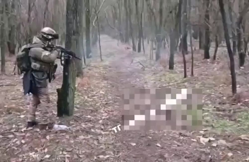 ��������� ������ ����������� ���