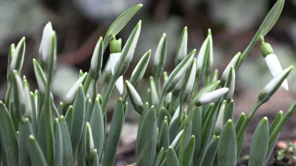 ����� ������� � ����������