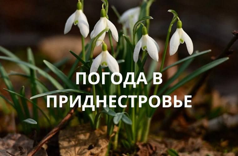 8 ������� ��������� �������� � ������������ ������, ��� ������������ �������