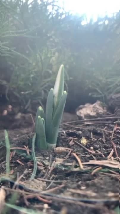 ����� � ��������� �������� ����������� ������������ � ����