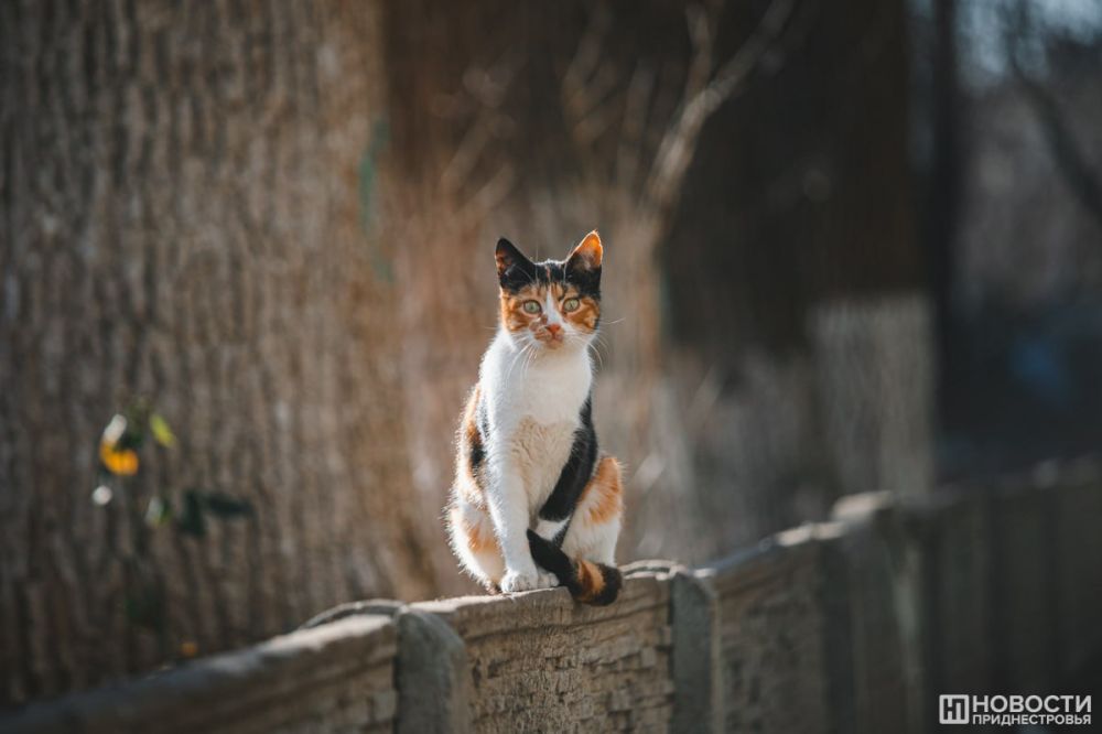 +16�� � �������. ������ ���� ��� �������. 6 � 7 ������� ���� ������ ������� �� ��� ������� ��������������� � �������������