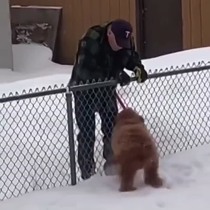 ���� ������ ����, ��� ����