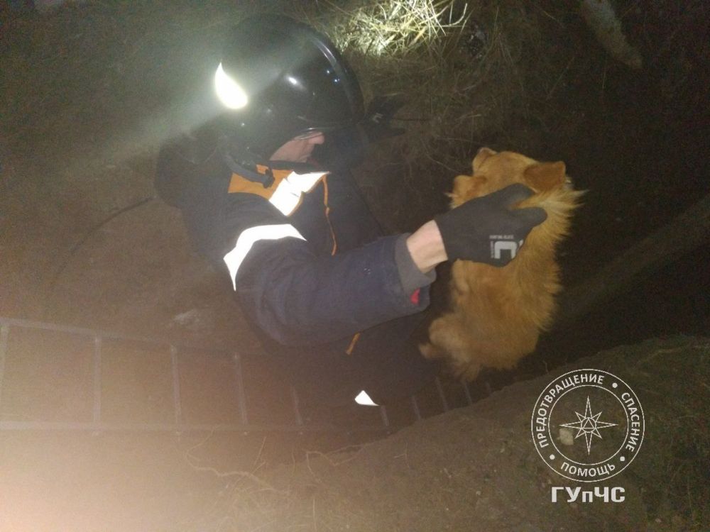 ������ ���� �����. ��� ��������� ��������� � ����� 7 �������