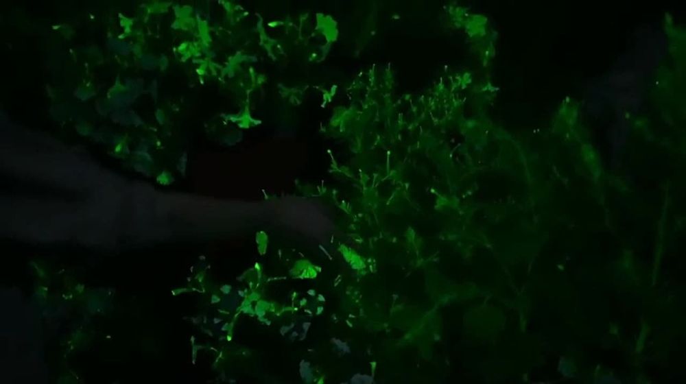 ������������ ������� �������� � ������� �������, ������� �������� � ������� �� ���� ����� ����������������� ������